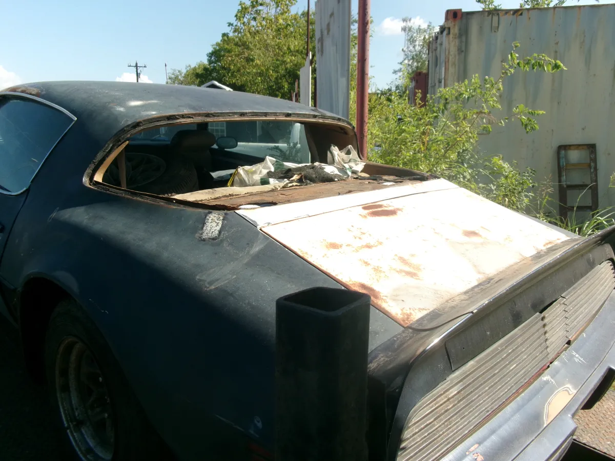 Auction Image 2